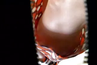 Az erők szexfilmek ingyen online hozzáértő összehangolása.