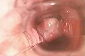 Interracial Pandora's sexfilmek ingyen Box.