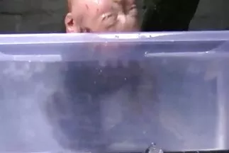 Egyik jó kanyar amatőr feleség csere megérdemli a másikat.
