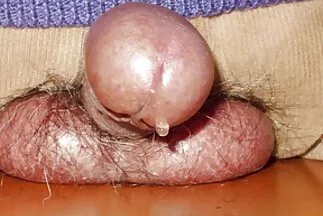 Fekete fiú tudja, hogyan kell szolgálni. ingyenes sexvideo