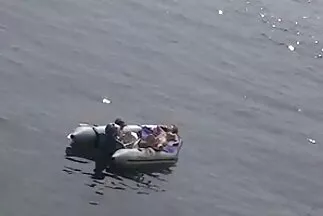 Merülj a fehér szamárba. ingyen duci pornó